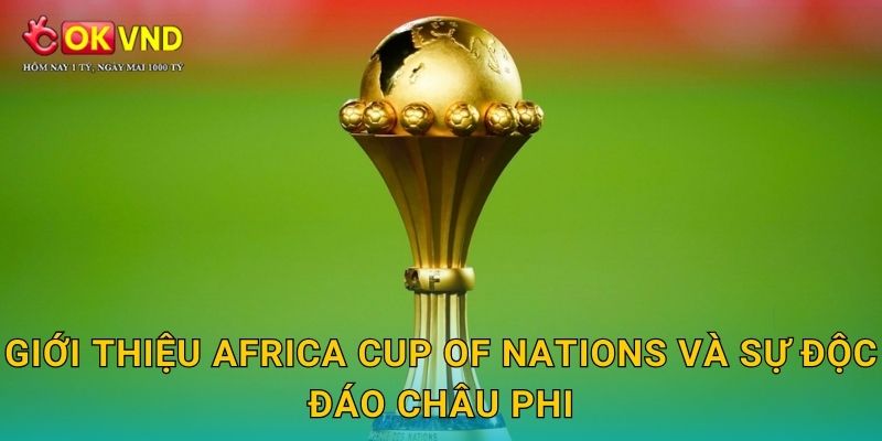 Giới thiệu Africa Cup of Nations và sự độc đáo châu Phi